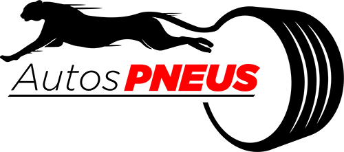 GARAGE AUTOS PNEUS